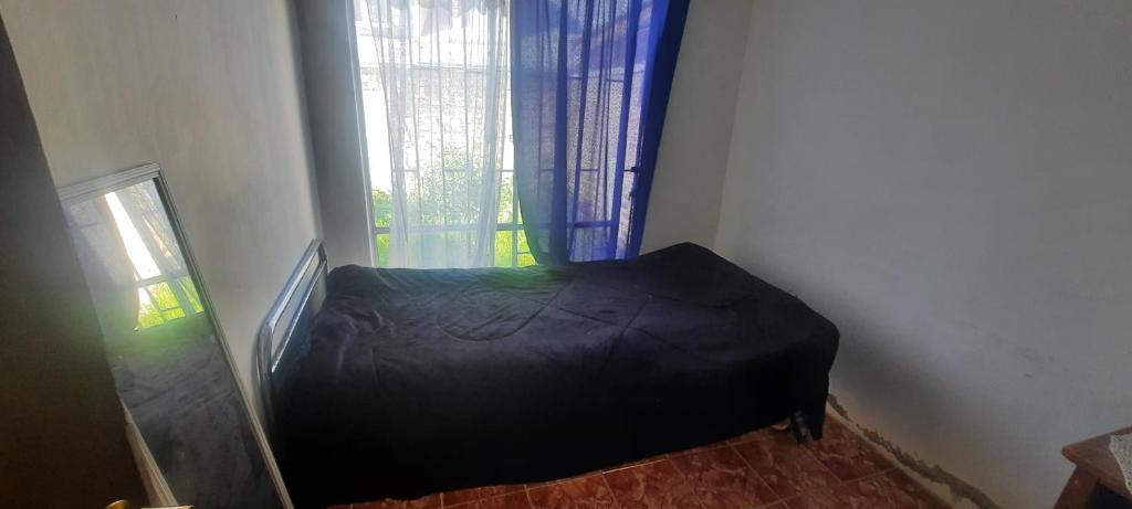 El refugio de Shisho - 4