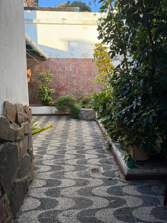 Residencia Estudiantil para Mujeres - 1