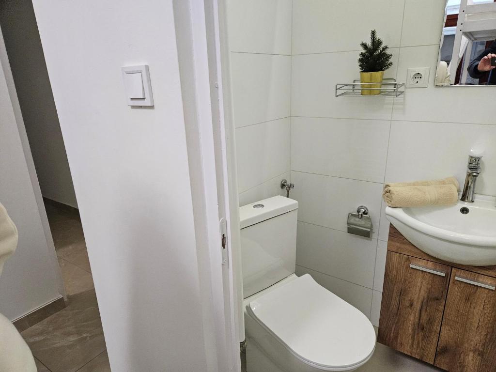 Liberty studio at Parliament, Budapest