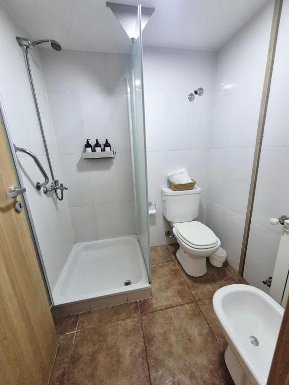 Luminoso departamento Céntrico - 3