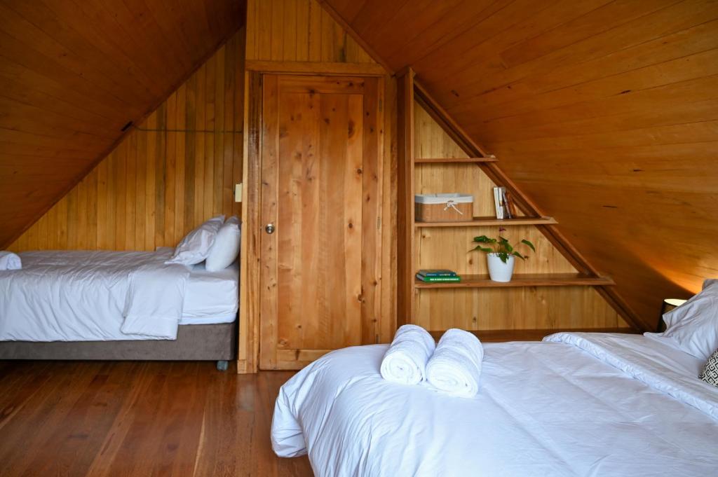 Montecatini Ecolodge - 2