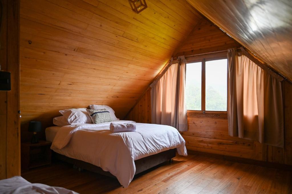 Montecatini Ecolodge - 3