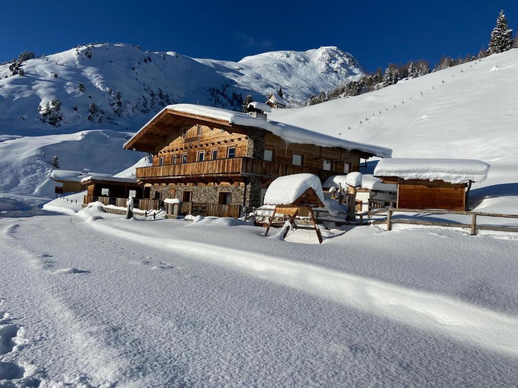Alpine pasture in the Zillertal mountains - 5