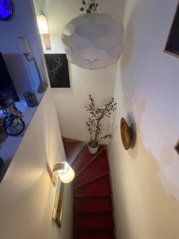 Beau appartement calme à partager - 2