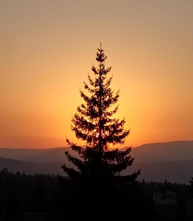 Harmony Retreat, Bălceşti