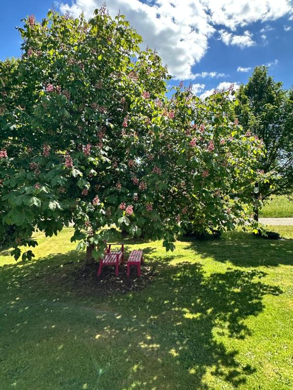 FeWo Olivia, Burghaun