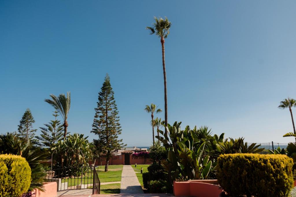 Beachfront apartment with terrace, pool and tennis court in Costabella, Marbella - 3