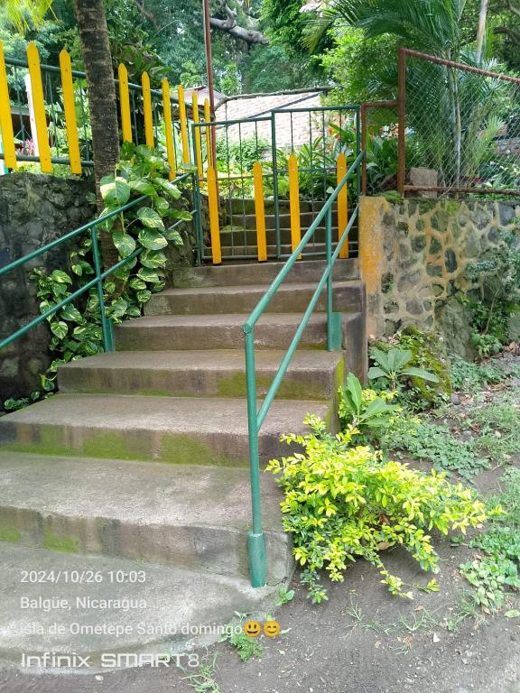 Beach & forest scape, Santo Domingo