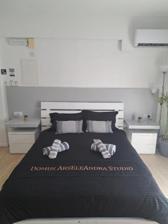 Domus ArsEleAndra Studio-162, Larnaka