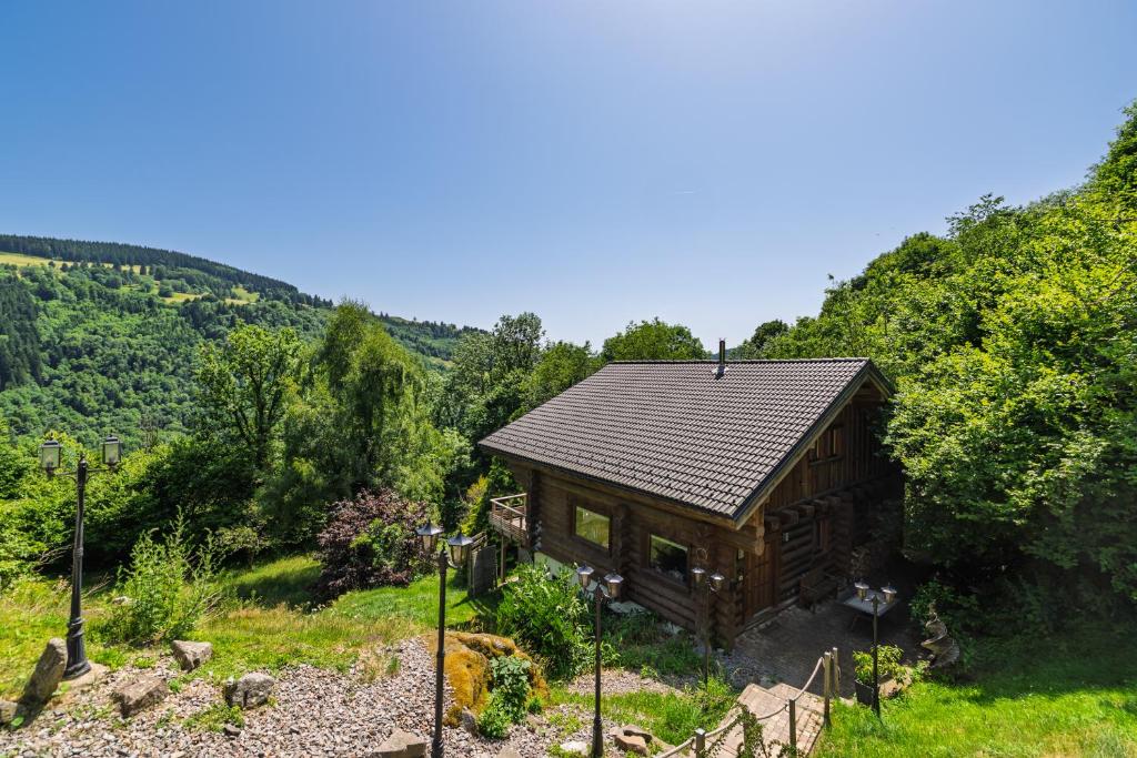 Chalet Les Lucioles, La Bresse 14p - SPA - 2
