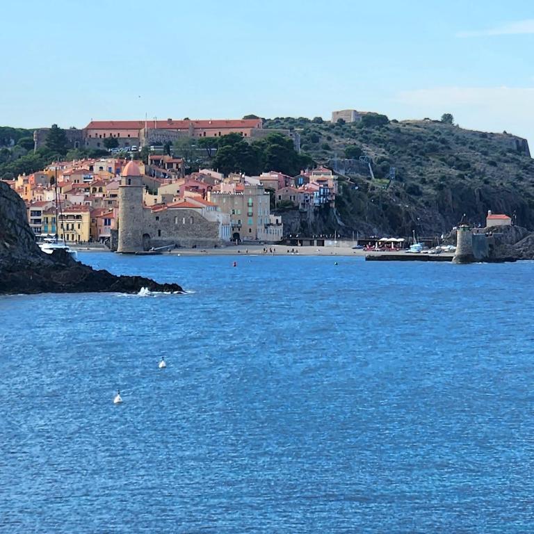 La crique appartement vue clocher Collioure, Collioure