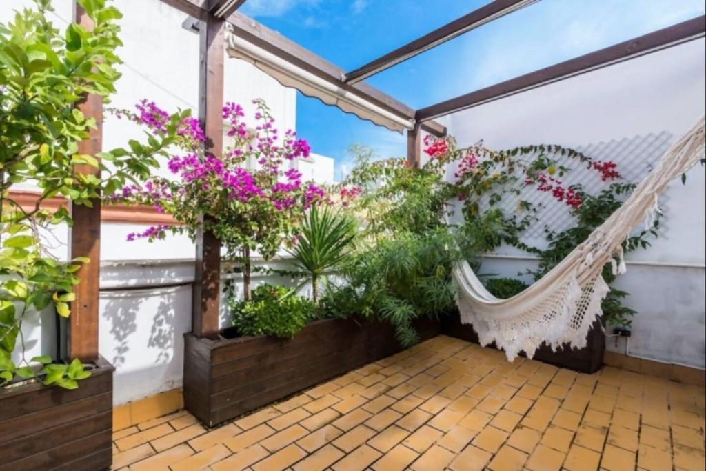 Cadizz-Ático El Falla con terraza de 40m2, Cádiz