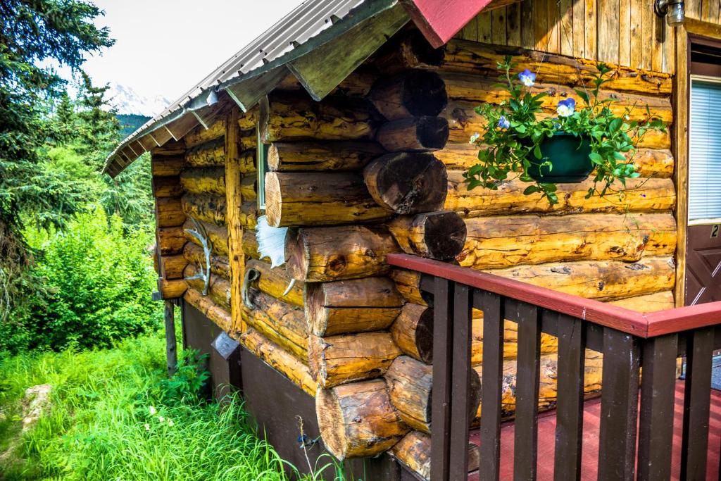 Midnight Sun Log Cabins photo