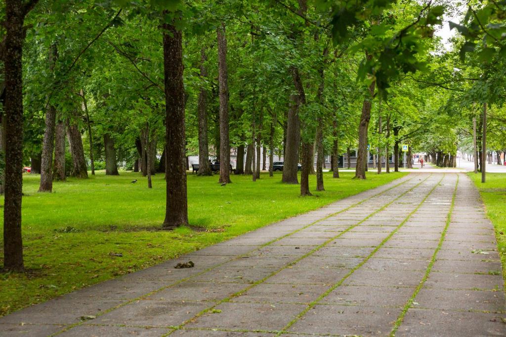 Surrounding environment