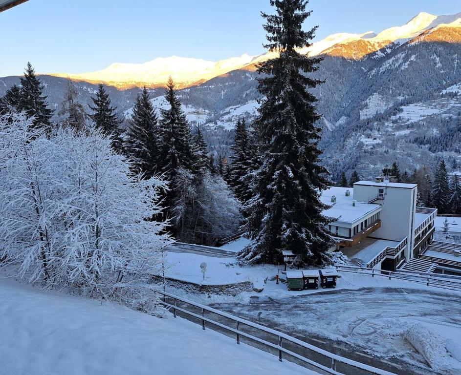 The View - Monolocale direttamente sulle piste con Vista - 4