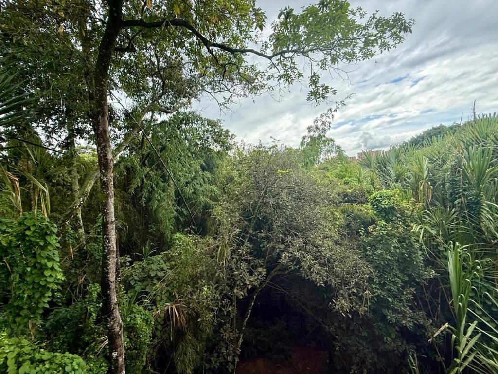 GURUS FR Luminoso Amplio Cómodo en excelente ubicación - 2