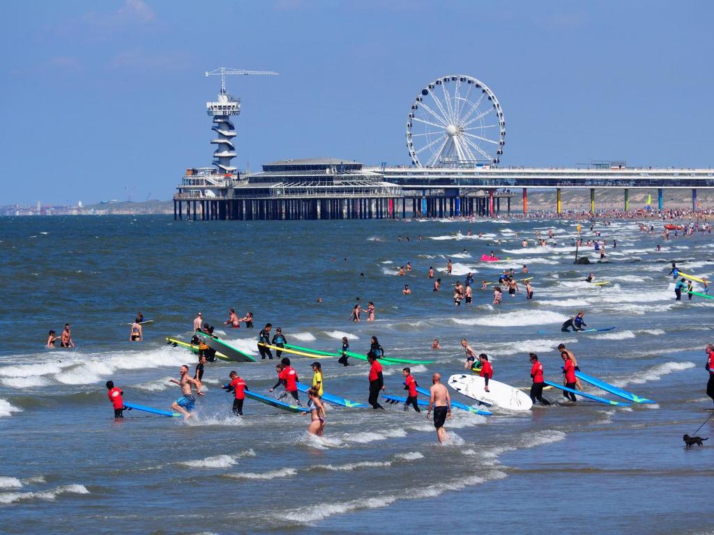 周辺観光スポット