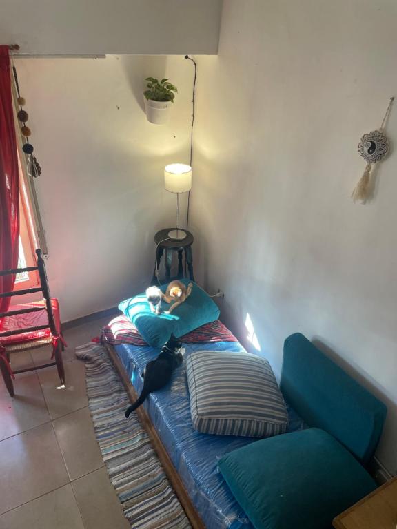 Casa para estudiantes - 3