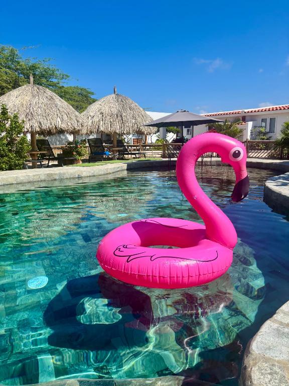 Hideout Garden Suite Adults Only, Palm-Eagle Beach