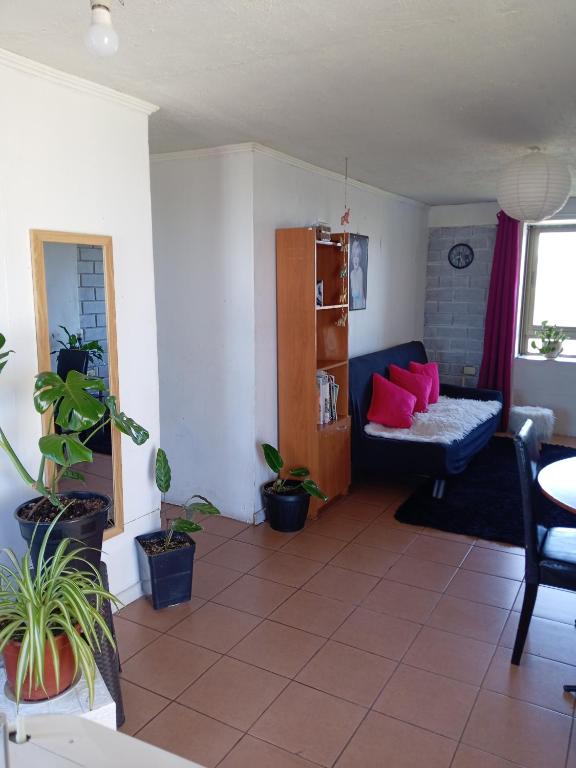 Magenta departamentos - 2