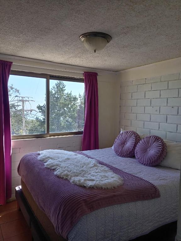 Magenta departamentos - 4