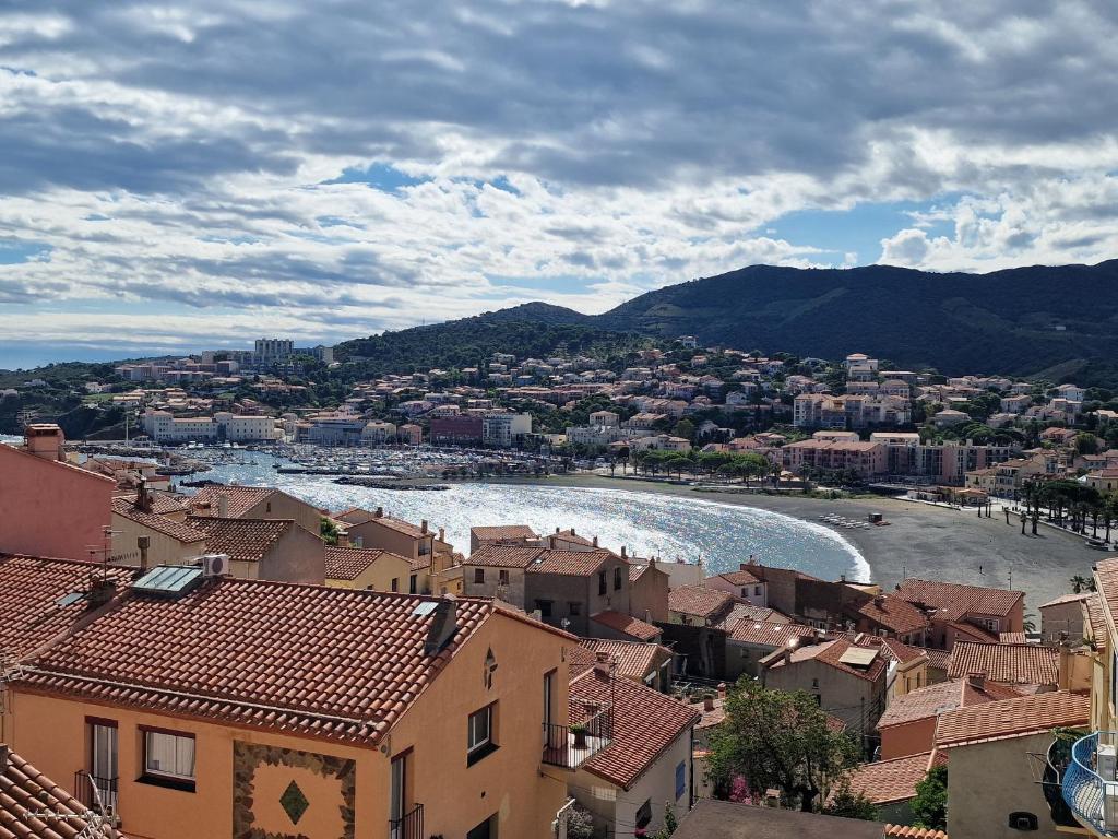 Studio à Banyuls-sur-Mer, terrasse proche plages - FR-1-309-73 - 1