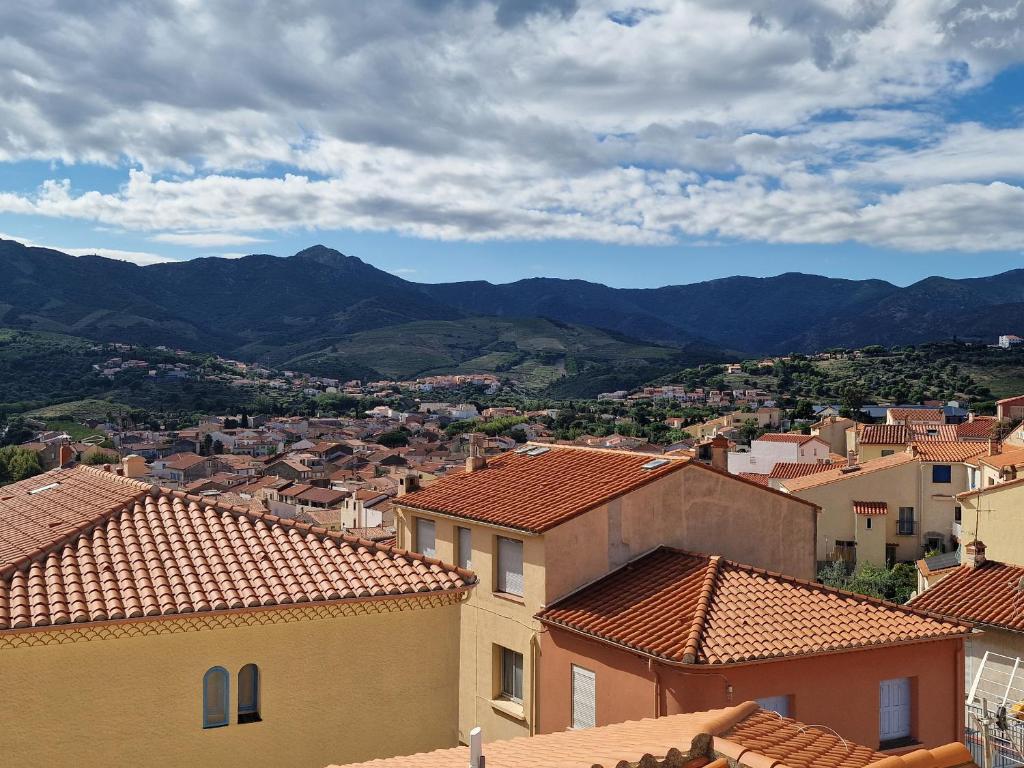 Studio à Banyuls-sur-Mer, terrasse proche plages - FR-1-309-73 - 4