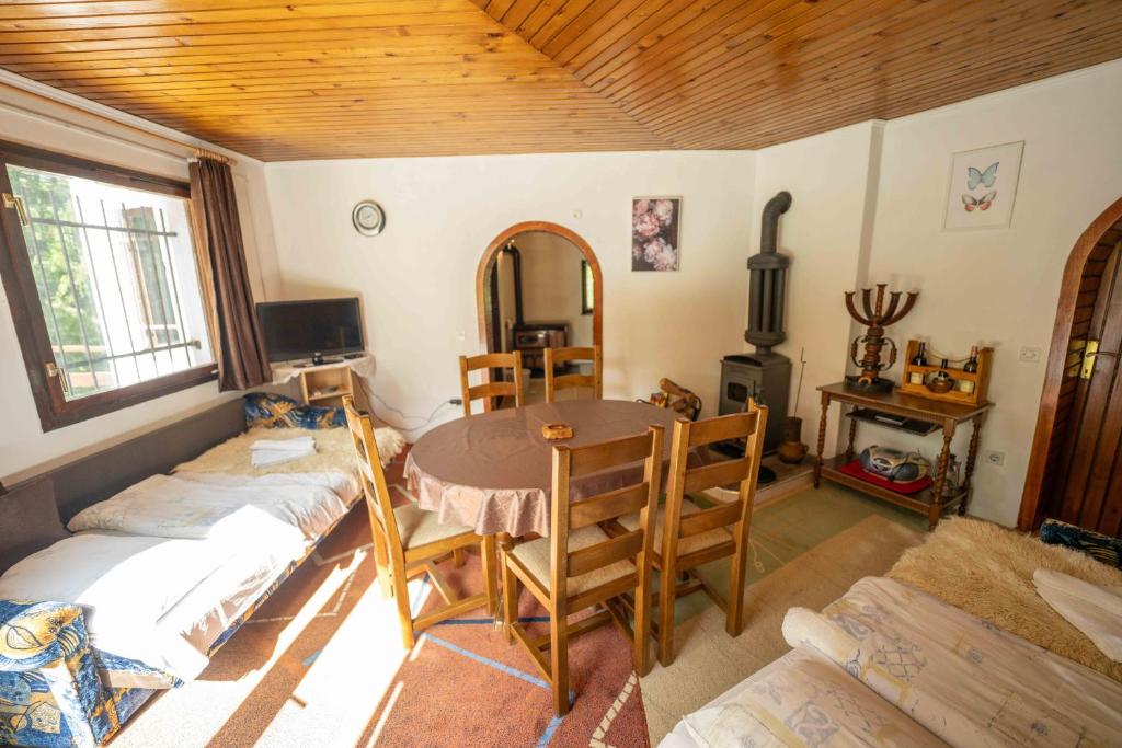 Borovac mountain escape - 5