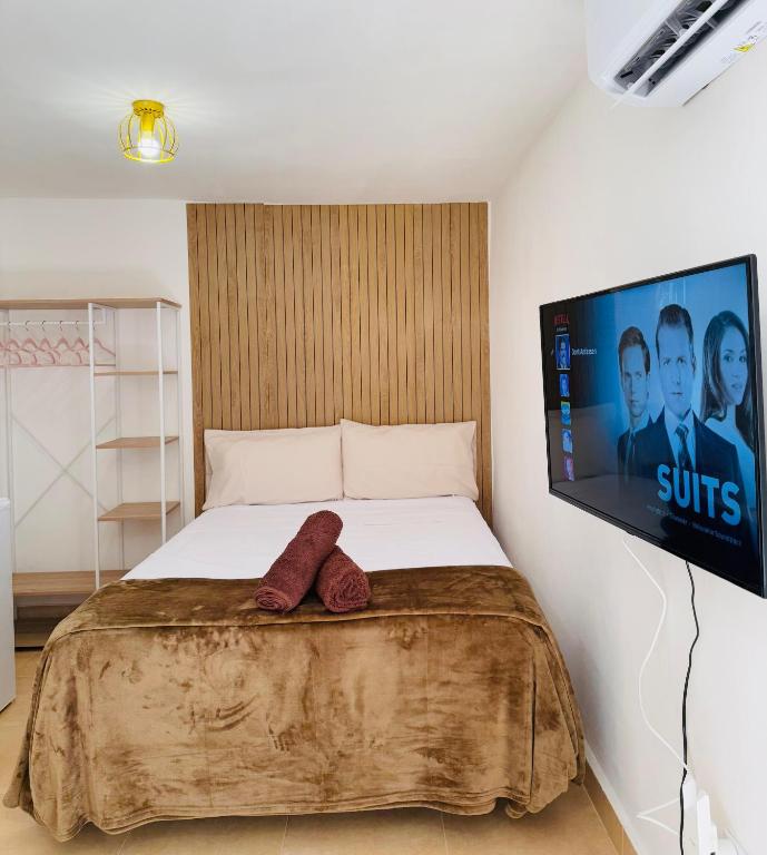 Lena Homes Jaén, Jaén