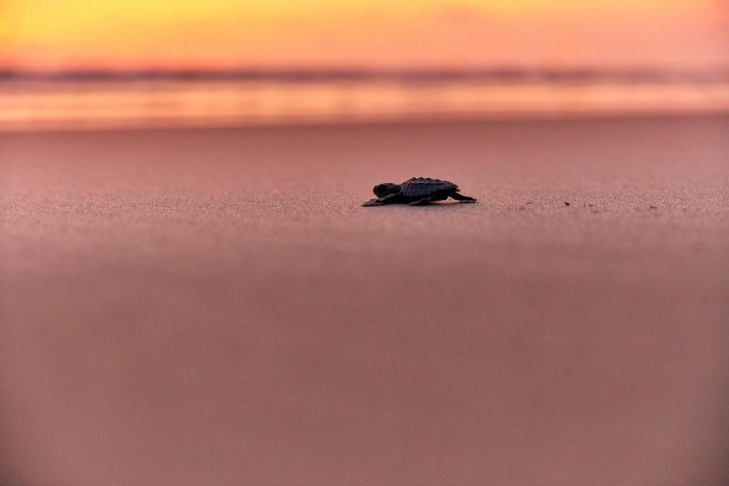 周辺観光スポット