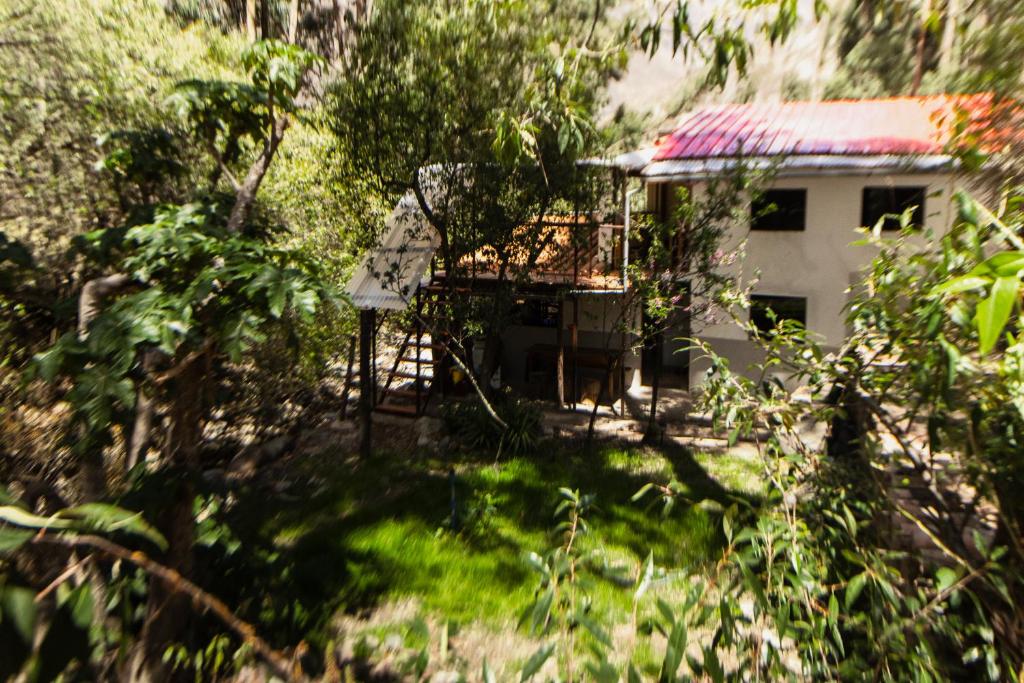 Pinkuylluna Lodge - 2