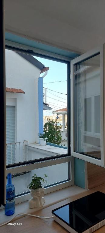 coralinehome - 3