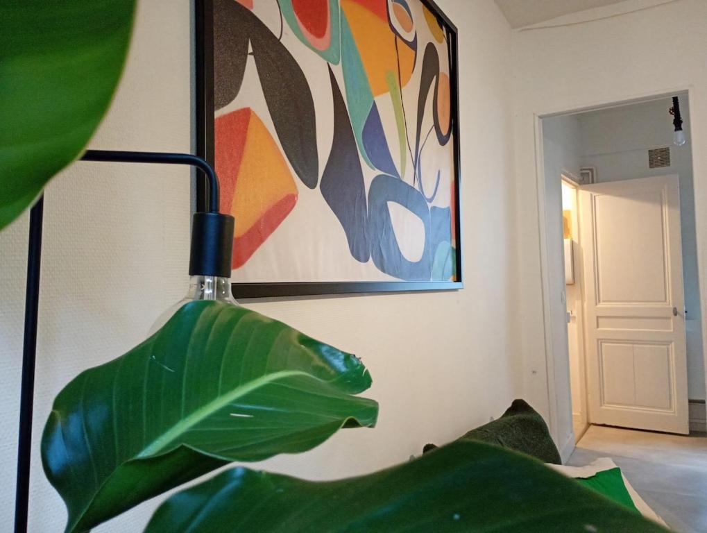 Appartement Confort en Couleurs - 3