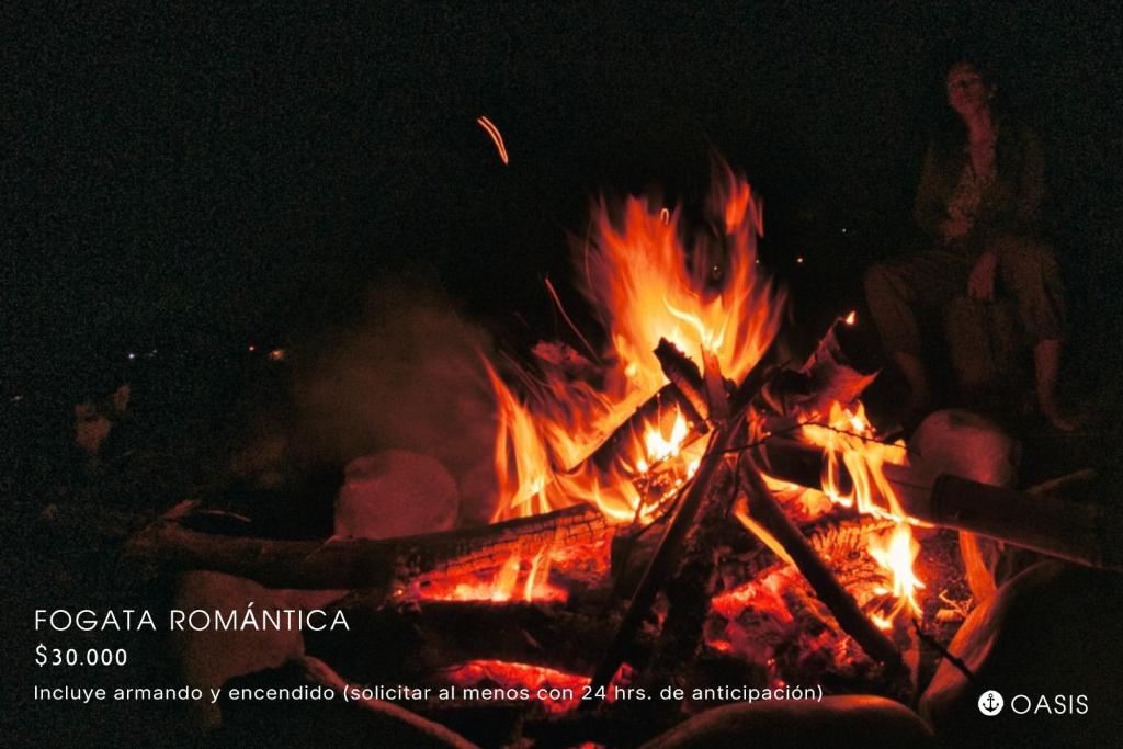 Glamping & Cabaña con Paddle, ducha al aire libre, Pet-friendly - Oasis junto al Lago - 5