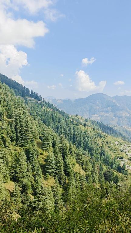 Mistymountaincottage, Šimla