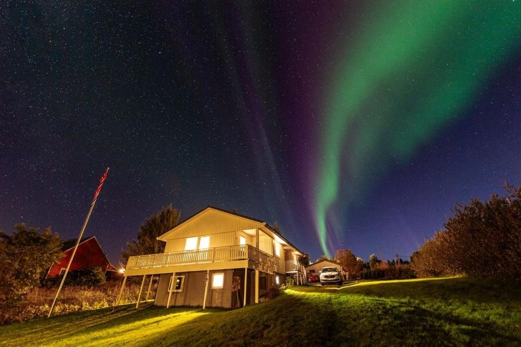 Arctic Serenity, Tromsø
