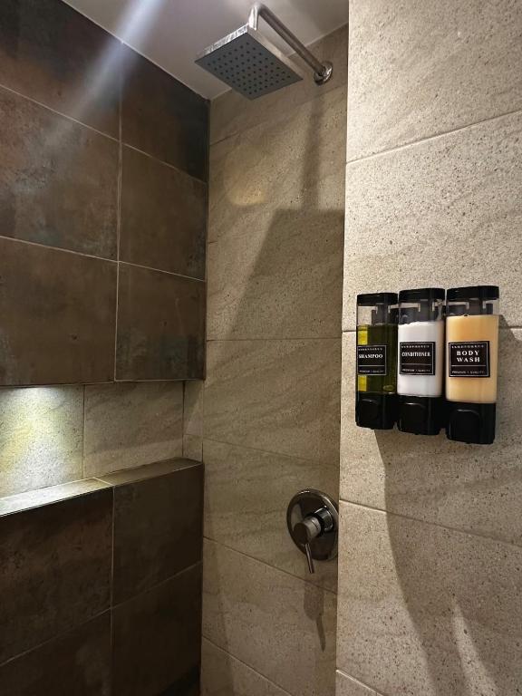 Art and comfort in San Antonio - 2