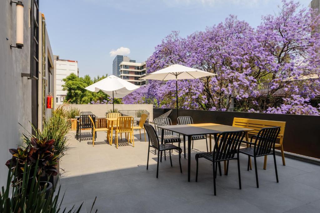 Lamartine 205 by Wynwood House, Mexiko