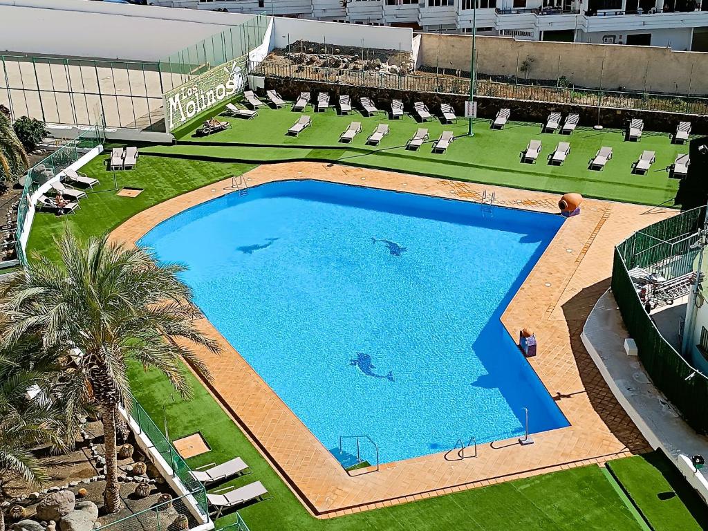 Molinos holidays playa del inglés - 1