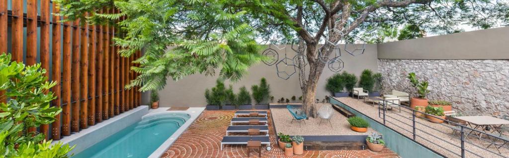 Hotel Criol photo