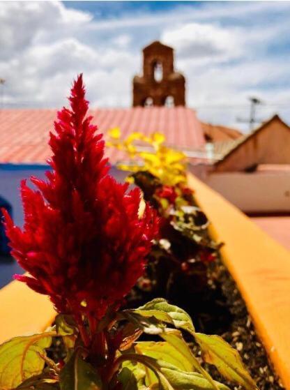 Hotel Santa Teresa - 3