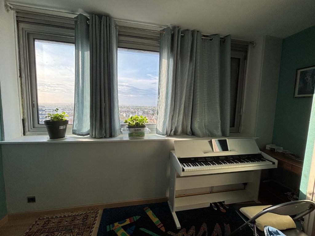 Bel appartement bourgeois 170 m2 Proche gare et Place Stanislas, Nancy - 3