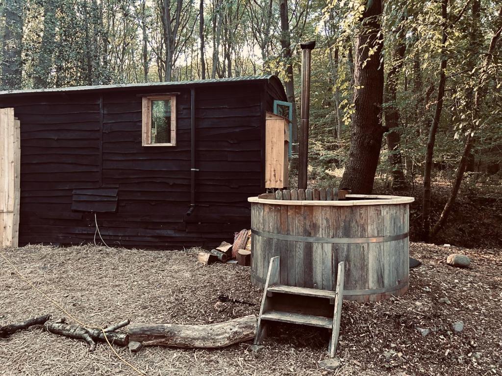 Wyre Forest Glamping, Bewdley