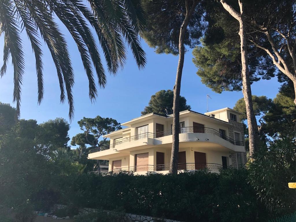 Palmiers et pins face à la mer dans une Villa classée du Cap d Antibes - 1
