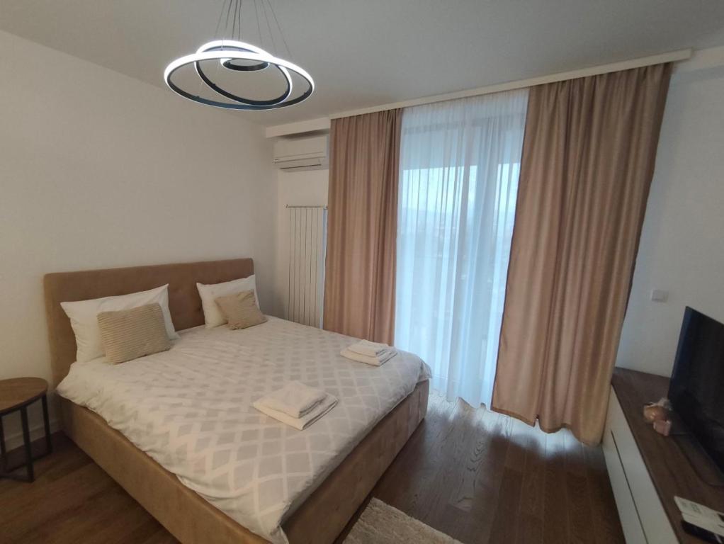 Komitet planet, Niš