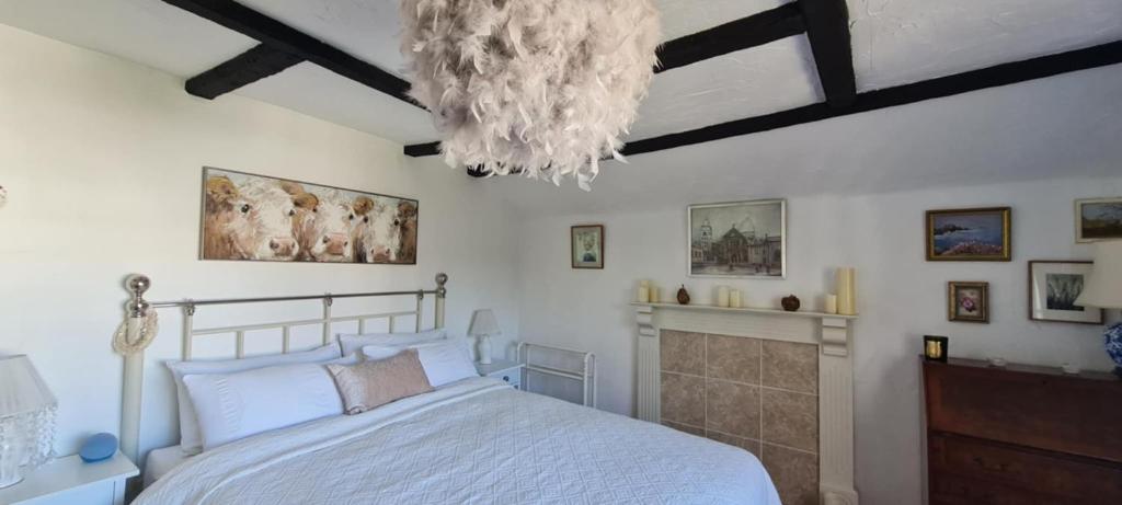 Charming Cottage in Pilton (Barnstaple) - photo 2