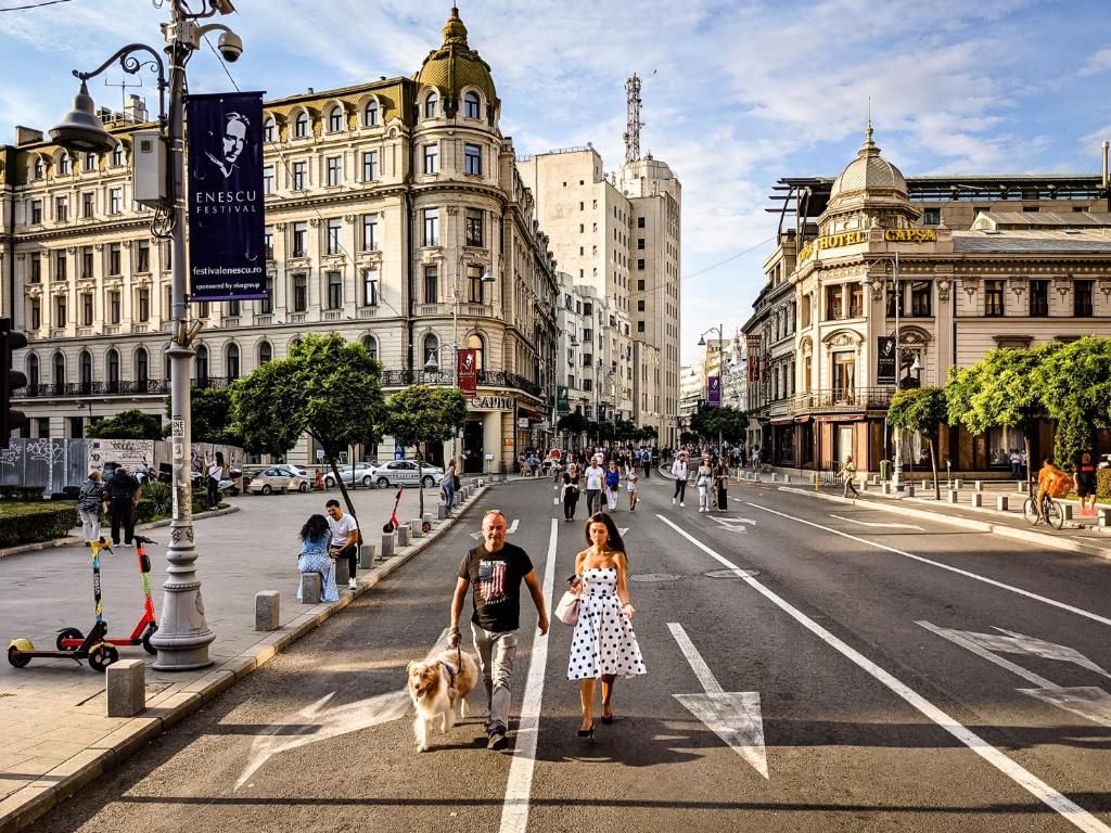 Victoriei One - In the heart of the city, Bukurešť