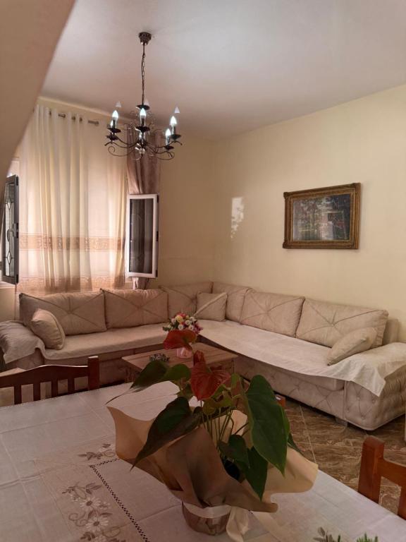 Central Nest Vlore, Vlorë