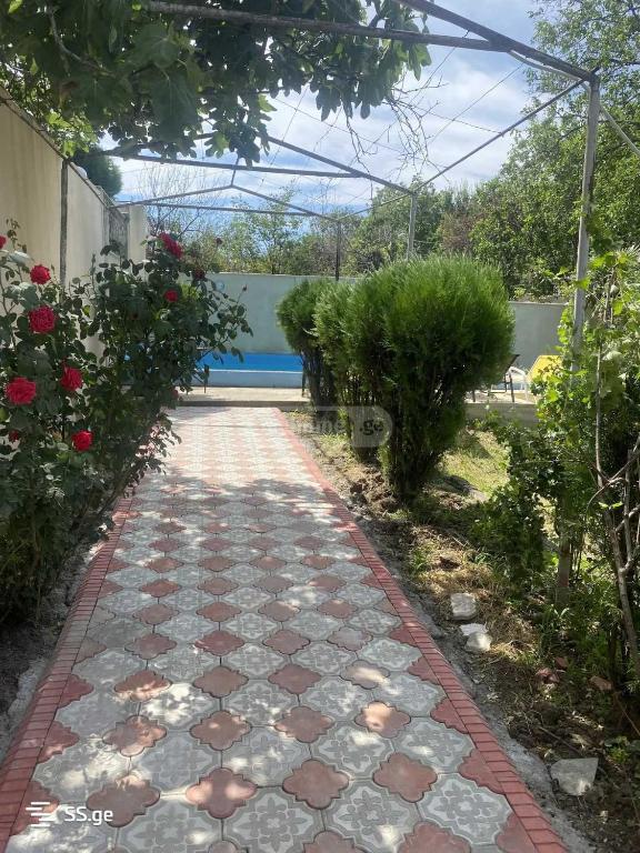 mukhiani agarakebi, Tiflis