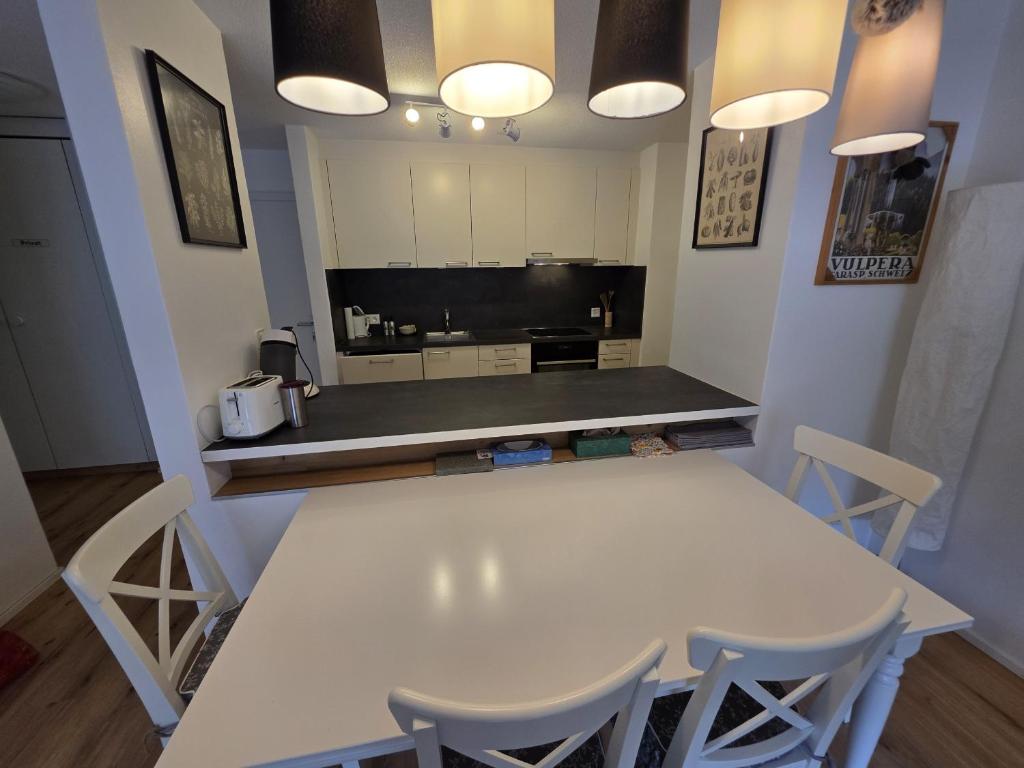PL203 frisch renovierte lichtdurchflutete Wohnung mit Terrasse - 3
